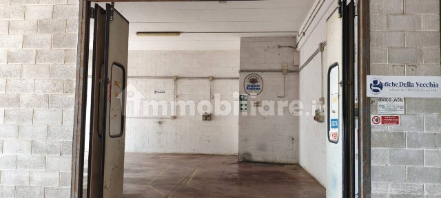 Magazzino - Deposito in Affitto