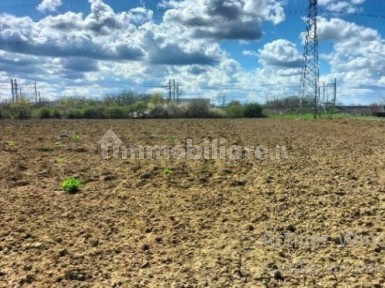 Azienda agricola all'asta via Pierino Turrini 12, Anzola dell'Emilia