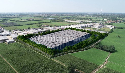 Magazzino - Deposito in Affitto