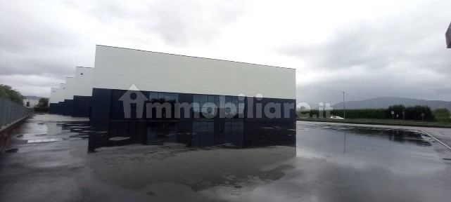 Magazzino - Deposito in Affitto