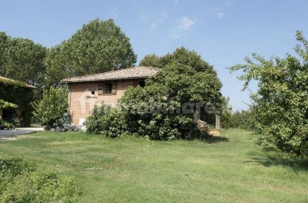 Azienda agricola all'asta via Sarasina, 16/a, San Giovanni in Persiceto