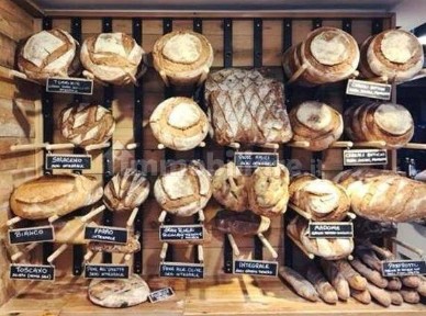 Panificio in Vendita