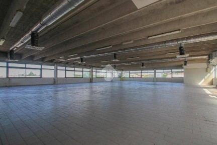 Locale commerciale in Affitto