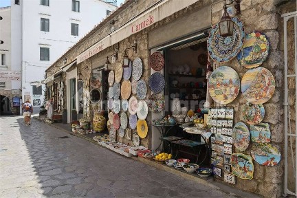 Locale commerciale in Affitto
