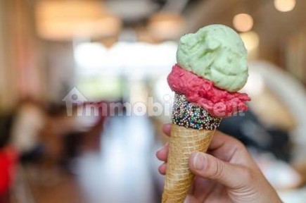 Gelateria in Vendita