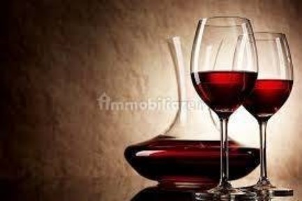 Enoteca - Wine bar in Vendita