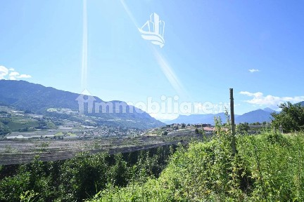 Tirolo, Lingweg