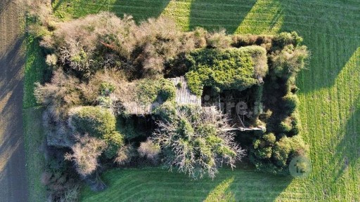 Rustico statale per reggio, Correggio