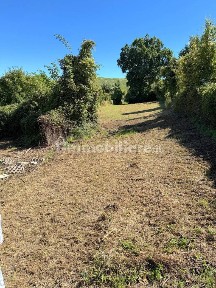 Carpineti, Via Caneto, 16