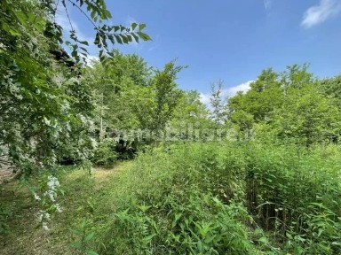 Rustico - casale all'asta via Reggio 88, Correggio