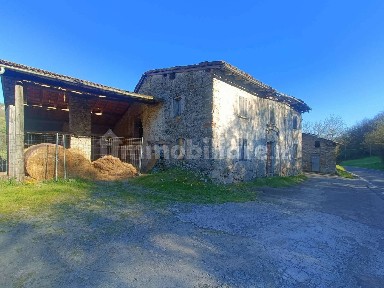Castelnovo Ne' Monti, via Casa del conte 13