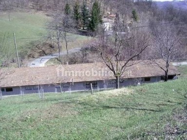 Castelnovo Ne' Monti, Felina Amata, 1