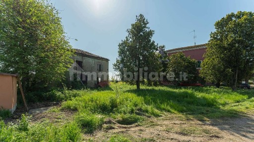 Correggio, via Nespolo