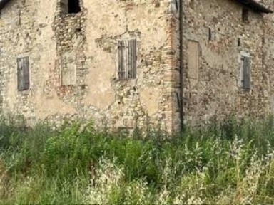 Albinea