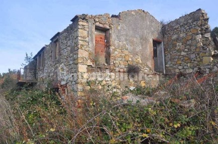 Albinea