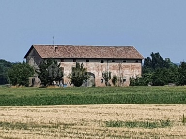 Albinea