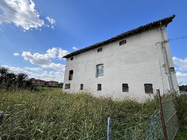 Reggio Emilia, Sesso