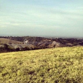 Masseria, ottimo stato, 1000 m², Casina