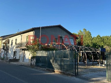 Licciana Nardi