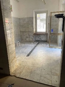 Carrara