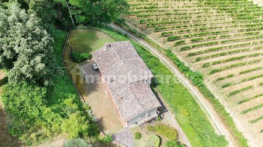 Gaiole in Chianti, Località Borratella, 15