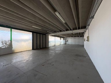 Magazzino - Deposito in Affitto