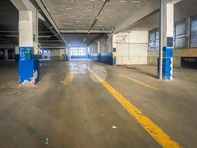 Magazzino - Deposito in Affitto