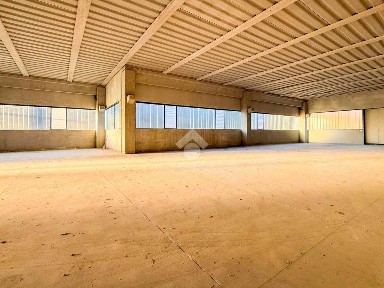 Magazzino - Deposito in Affitto