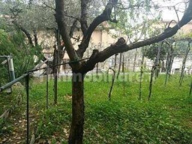 Villa bifamiliare via Risorgimento 7, Centro, Chianciano Terme