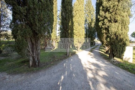 Siena, Costalpino - Costafabbri, Strada Grossetana