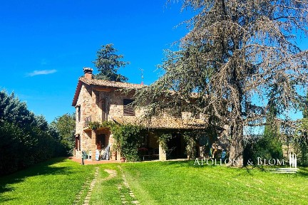 Chianciano Terme, Strada provinciale 19, 19