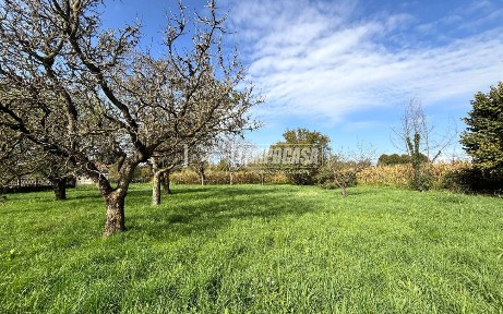 Cascina via Rondissone, Tonengo Casale, Mazzè