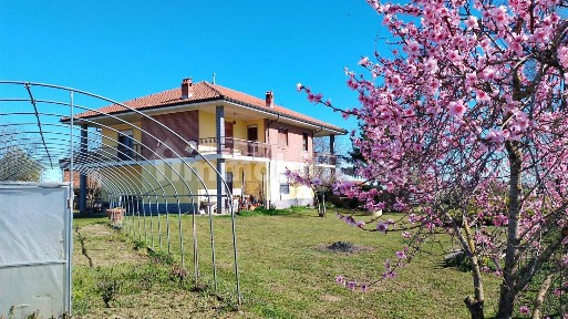 Cascina regione Alberetta 2, Alberetta, Scalenghe