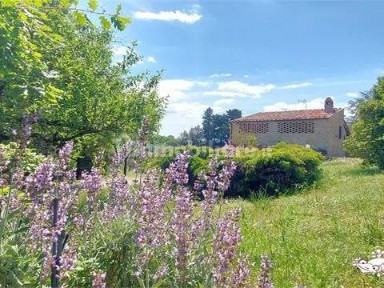 San Gimignano, Urb. Campagna Castel San Gimignano - Zona Collinare