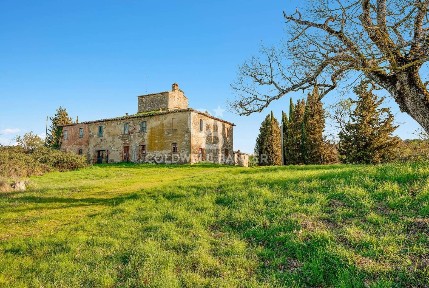 Trequanda, Strada Provinciale 14, 5