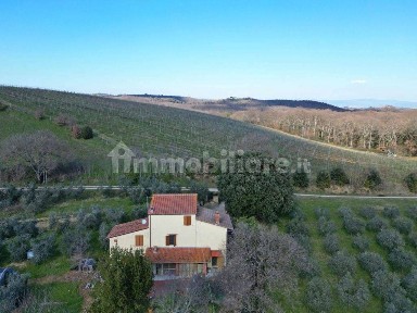 Trequanda, Via di Trequanda