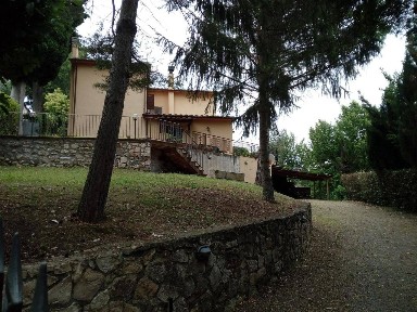 Cetona