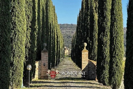 Montalcino