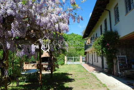 Casale Strada Casalborgone, Castagneto Po