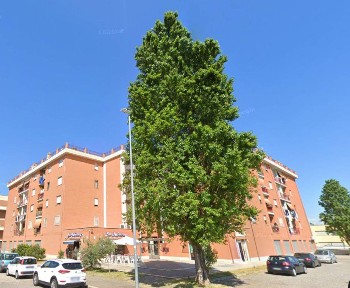 Rustico - casale all'asta frazione Abbadia Alpina - via Umberto Grossi, Pinerolo