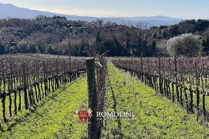 Montalcino