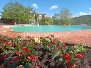 Villa unifamiliare, ottimo stato, 1800 m², Murlo
