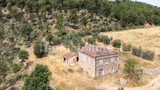 Rapolano Terme, Casotto