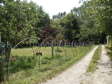 Casale via Monache, Sant'Anna, Commenda, Caselle Torinese