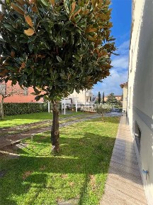 Villa unifamiliare 290 m², Bettolle, Sinalunga