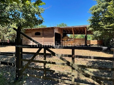 Casale, ottimo stato, 20000 m², Volvera