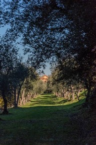Villa unifamiliare Strada di cassia nord, Petriccio - Acquacalda, Siena