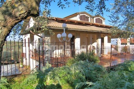 Torrita di Siena