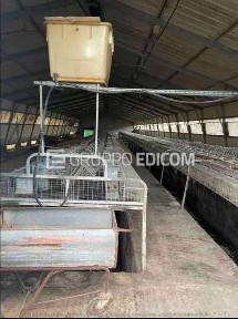 Rustico - casale all'asta frazione regione badovino, Galliate