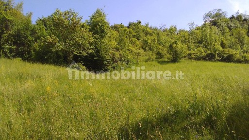 Casale Strada Cenasco 48, Revigliasco - Maddalena, Moncalieri